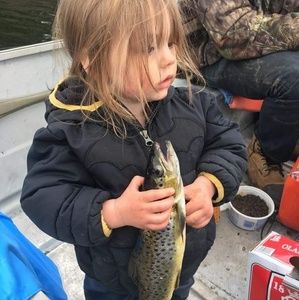 Meet your Posher, Donna